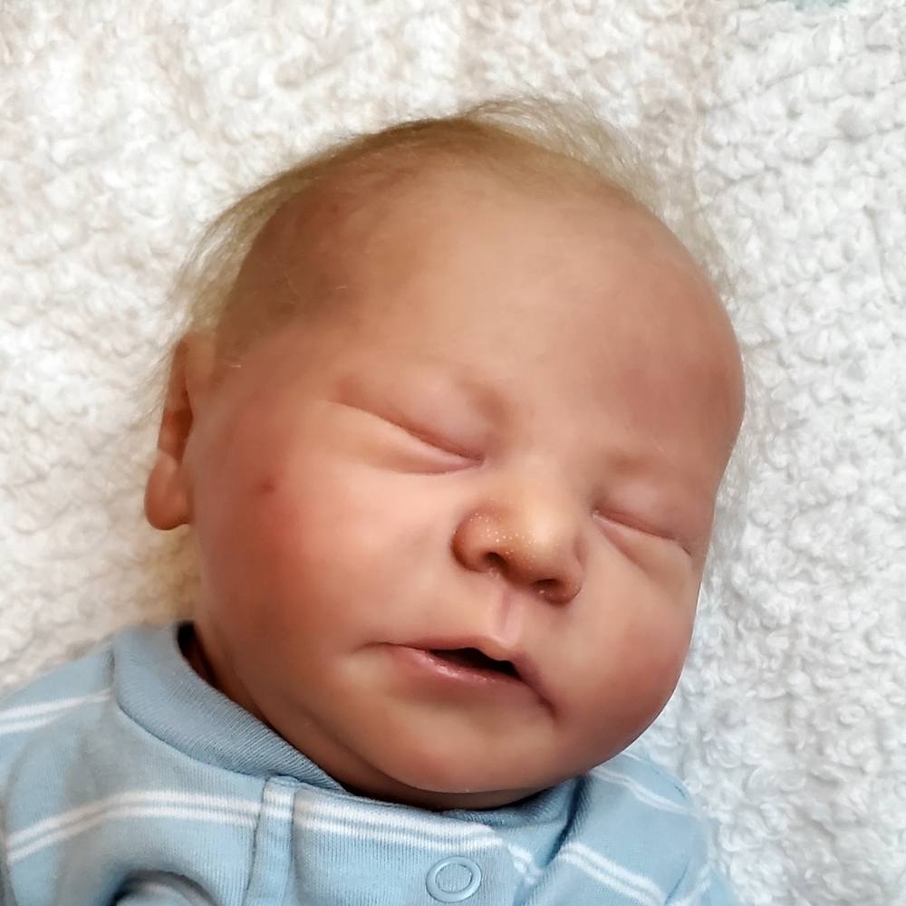 Artist quality painted reborn doll